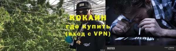 PSILOCYBIN Арсеньев