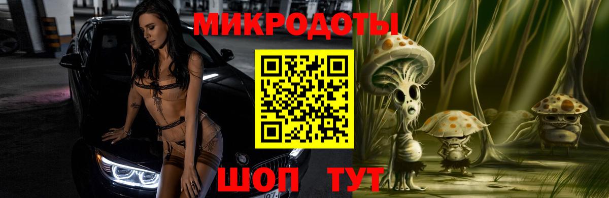 Кировск  Галлюциногенные грибы Cubensis  Вход с VPN 